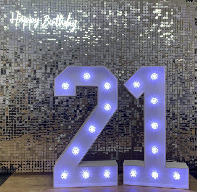 Happy Birthday Neon - Silver Shimmer Wall - 21 Light Up Numbers