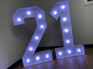 Light Up Numbers 21