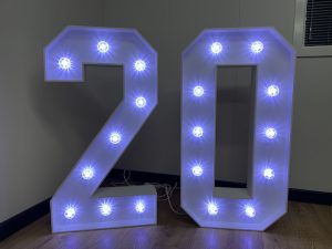 Light Up Numbers 20