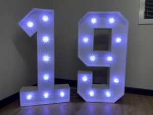 Light Up Numbers 19