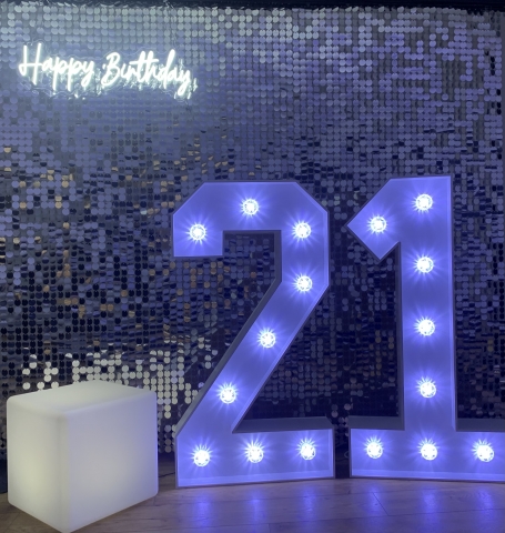 Light Up Numbers Hire