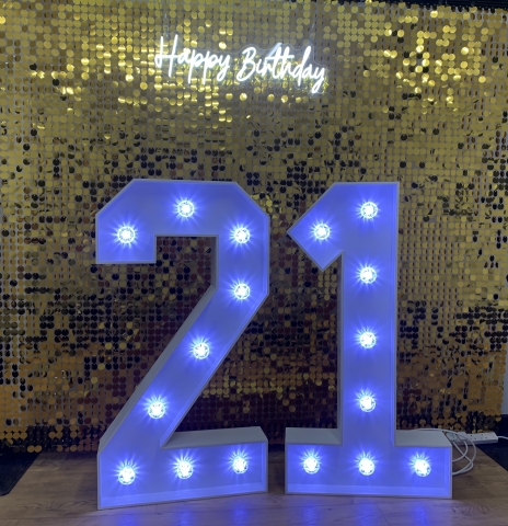 Light Up Numbers Hire